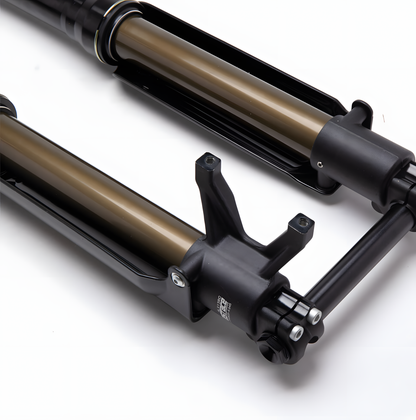 FastAce Front Suspension set - Gold Cap